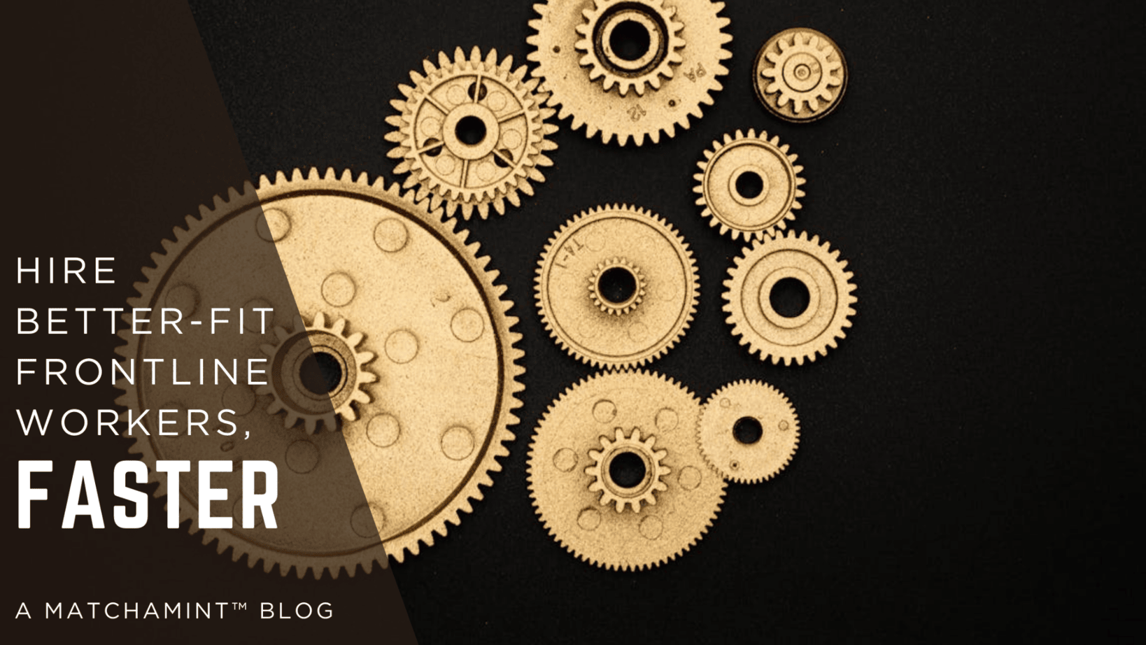 Image © Miguel Á. Padriñán, Mexico